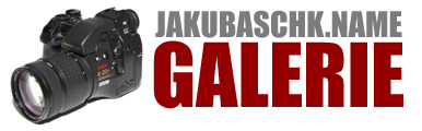 Galerie logo